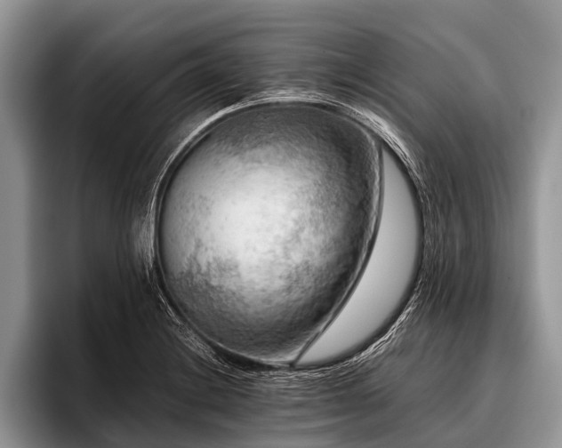 X0000096981228200802081401