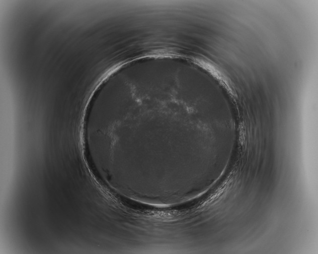 X0000096981229200802081401