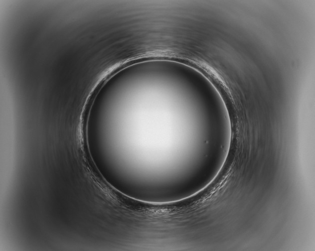 X0000096981230200802081401