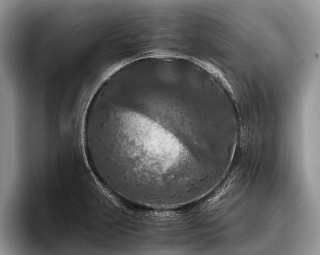 X0000096981231200802081401