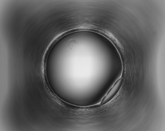 X0000096981232200802081401