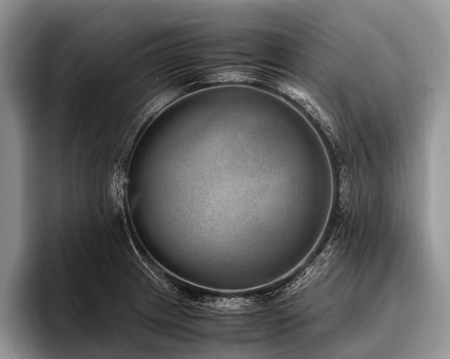 X0000096981233200802081401