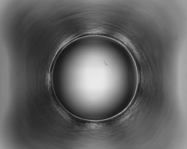 X0000096981234200802081401