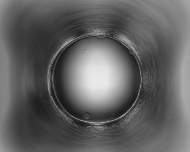 X0000096981235200802081401