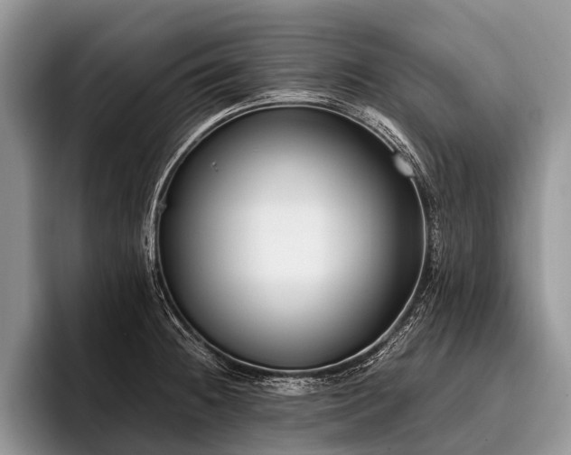 X0000096981236200802081401