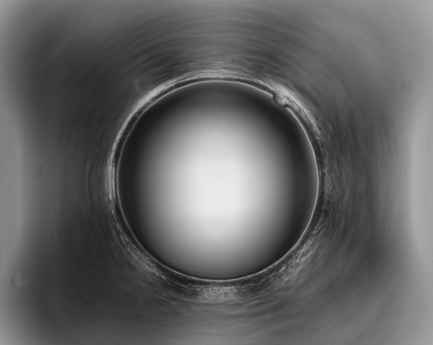 X0000096981238200802081401