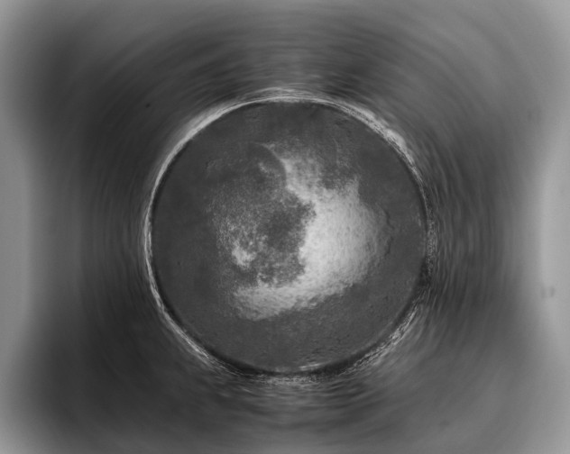 X0000096981239200802081401