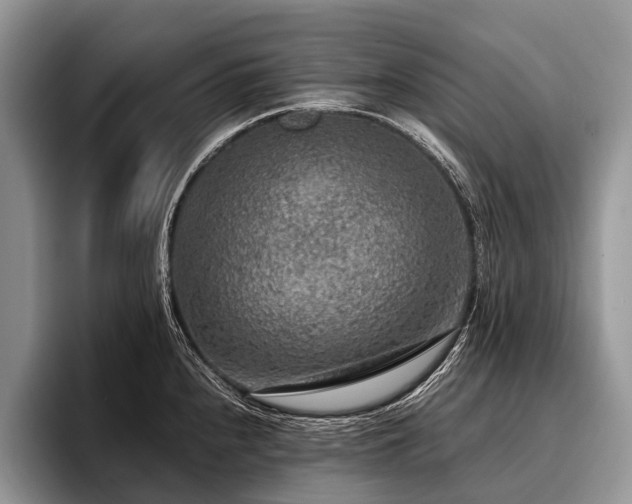 X0000096981240200802081401