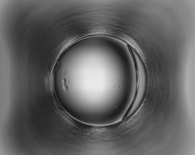 X0000096981242200802081401