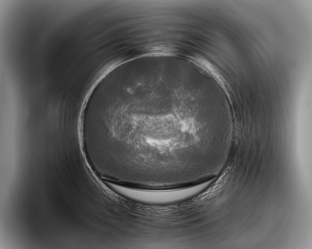 X0000096981243200802081401