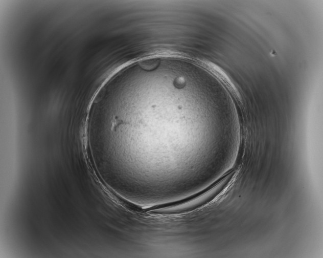 X0000096981244200802081401