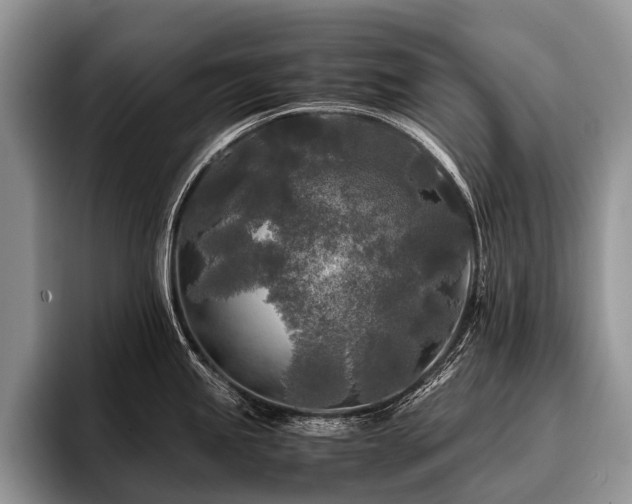 X0000096981245200802081401