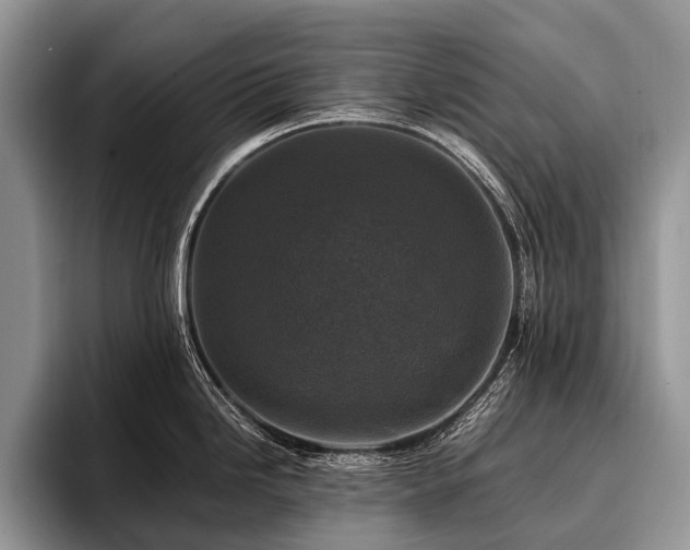 X0000096981246200802081401