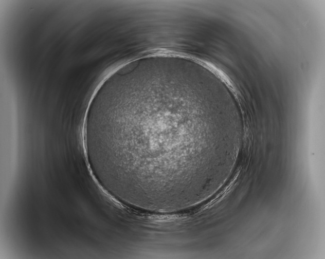 X0000096981247200802081401