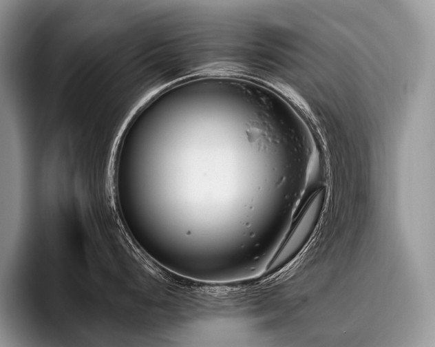 X0000096981248200802081401