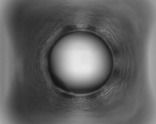 X0000096981249200802081400