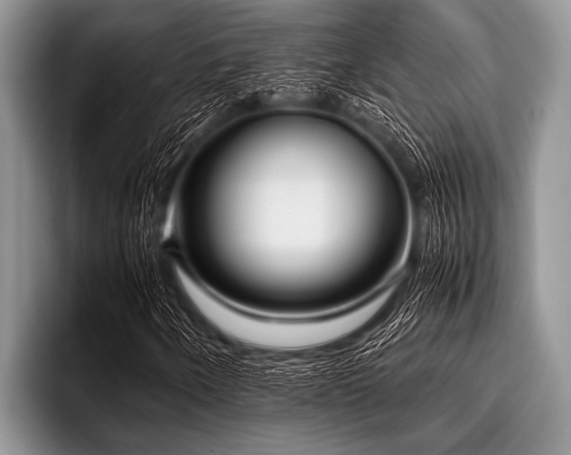 X0000096981250200802081400