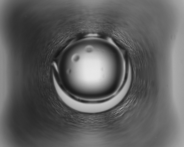 X0000096981251200802081400