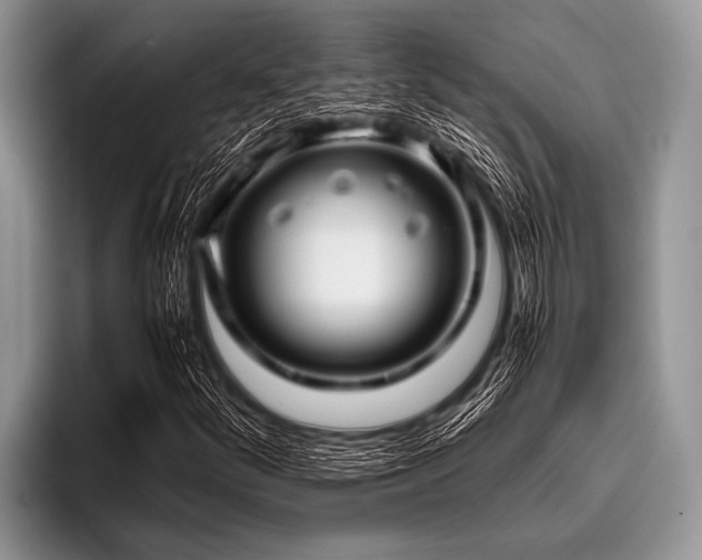 X0000096981252200802081400