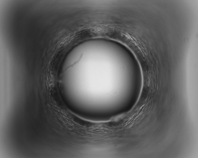 X0000096981253200802081400