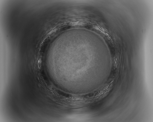 X0000096981254200802081400