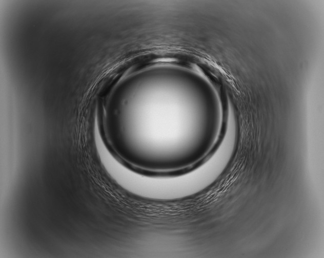 X0000096981255200802081400