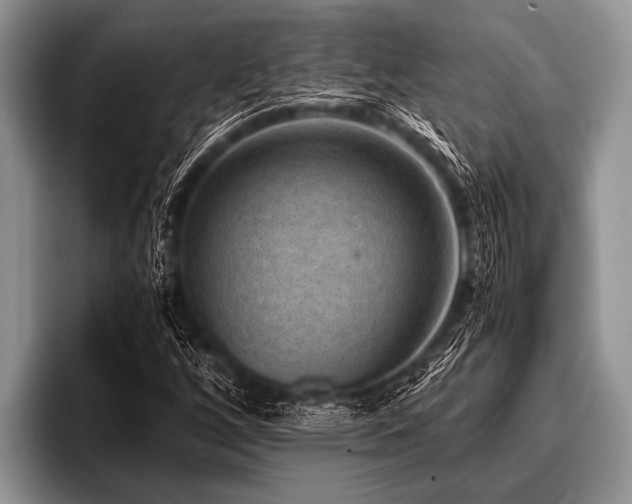 X0000096981256200802081400