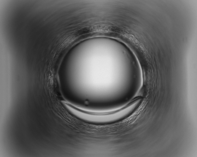 X0000096981257200802081400