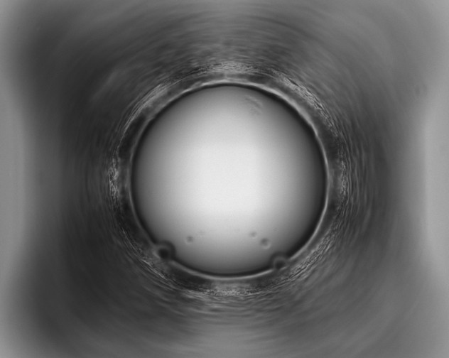 X0000096981258200802081400