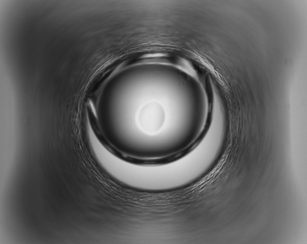 X0000096981259200802081400