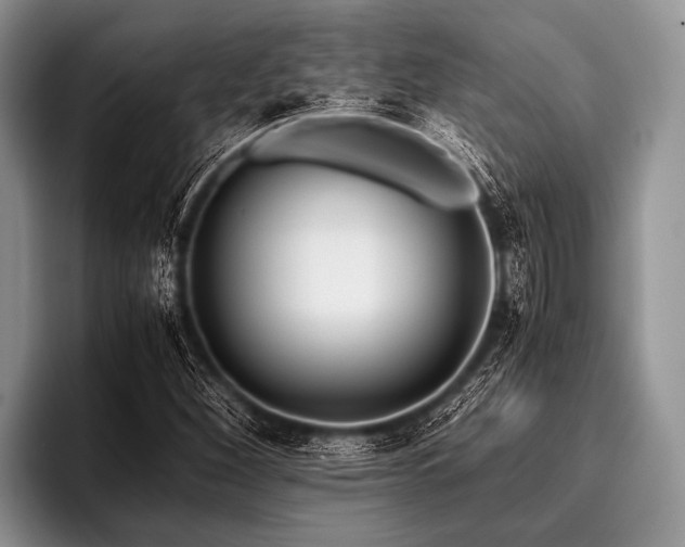 X0000096981260200802081400