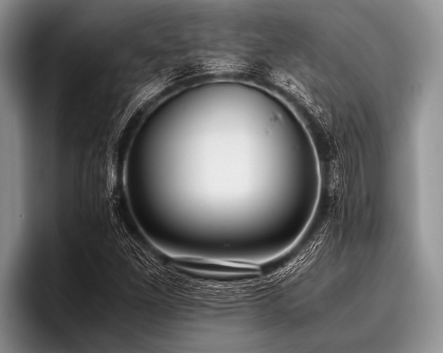 X0000096981261200802081400