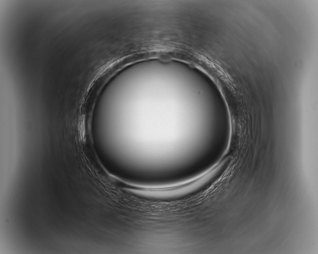 X0000096981262200802081400