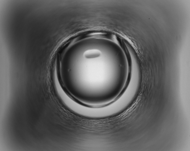 X0000096981263200802081400