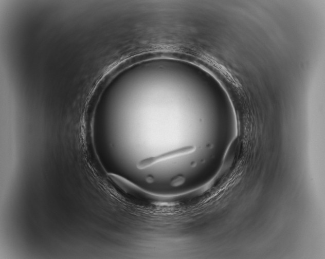 X0000096981264200802081400