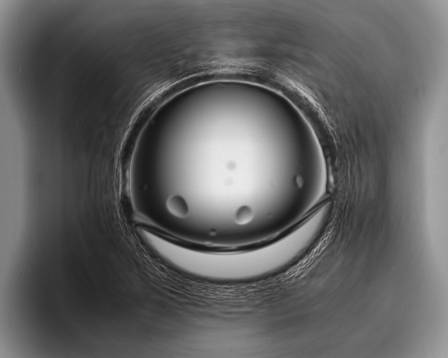 X0000096981267200802081400