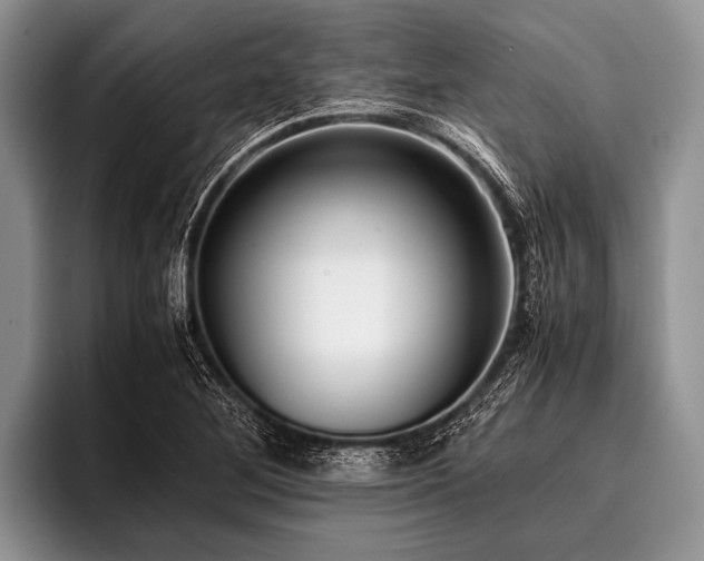 X0000096981268200802081400