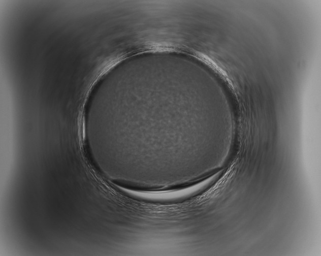 X0000096981269200802081400