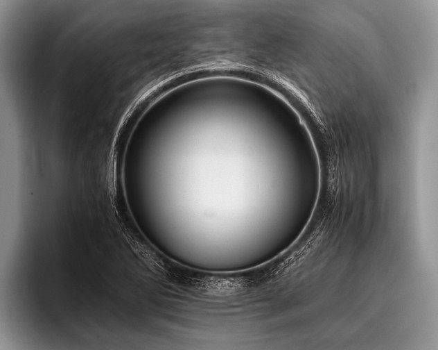 X0000096981270200802081400