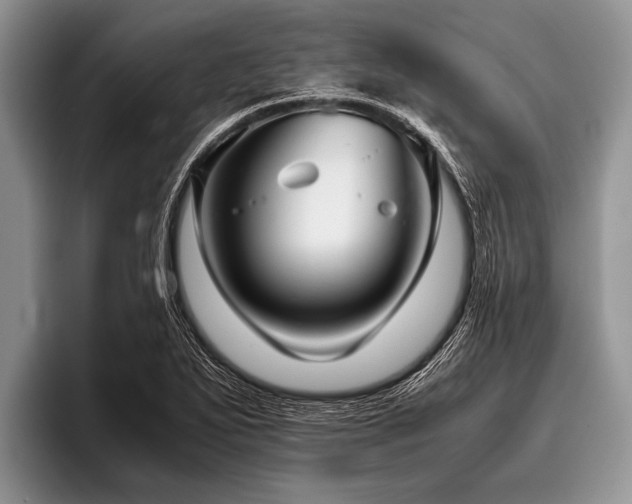 X0000096981271200802081400