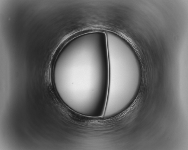 X0000096981272200802081400