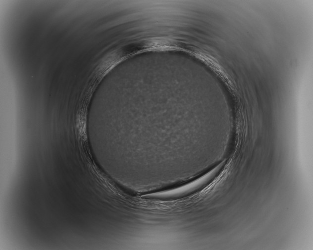 X0000096981273200802081400