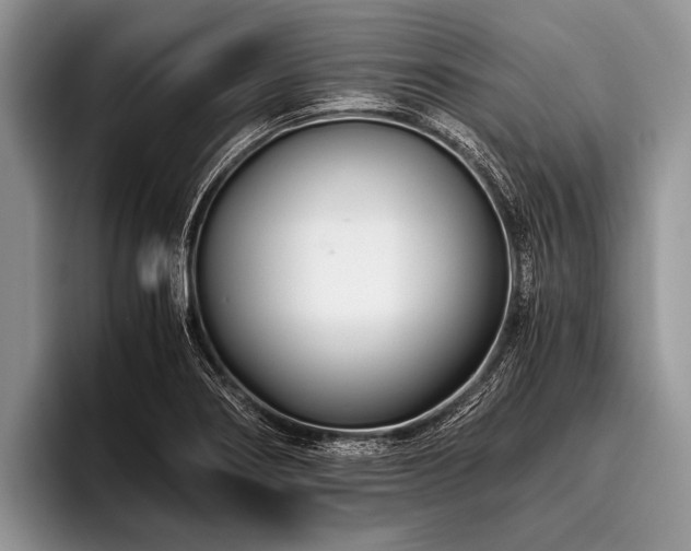 X0000096981274200802081400