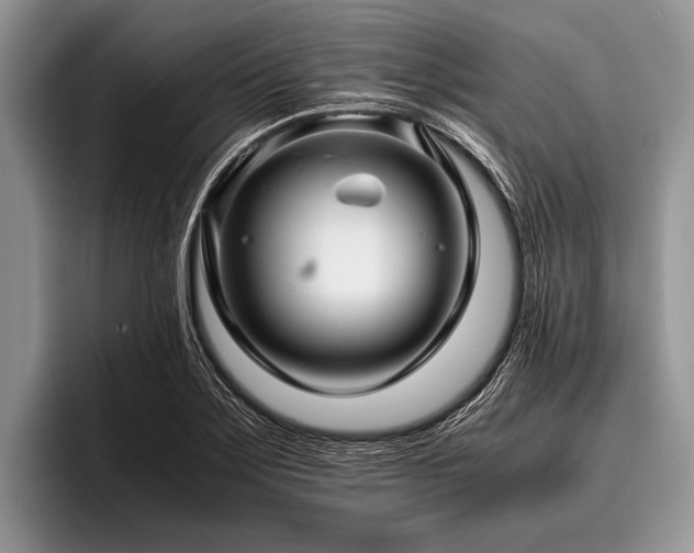 X0000096981275200802081400