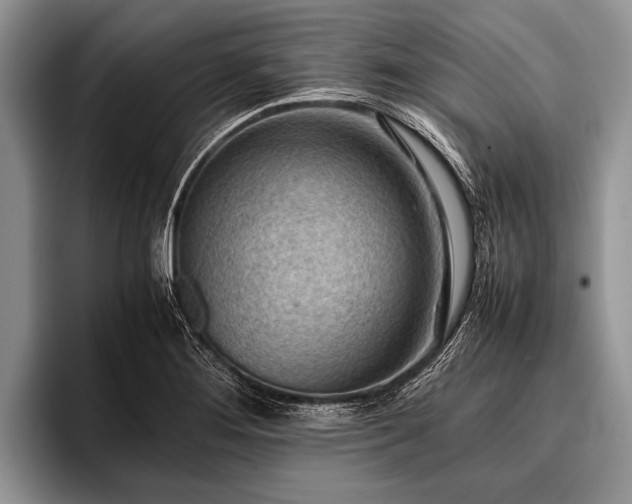 X0000096981276200802081400