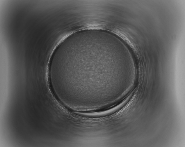 X0000096981277200802081400