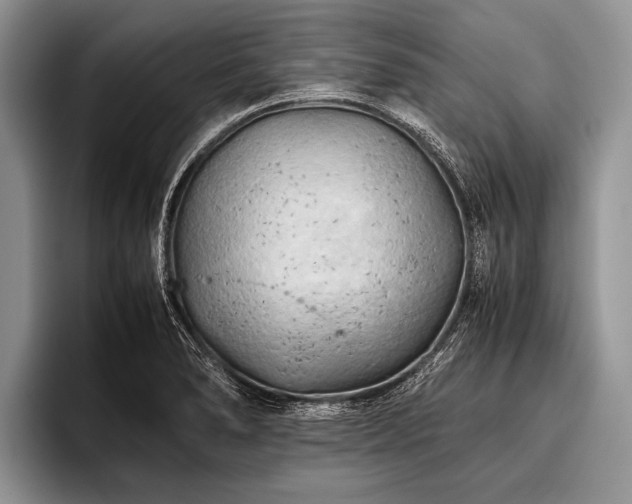 X0000096981278200802081400