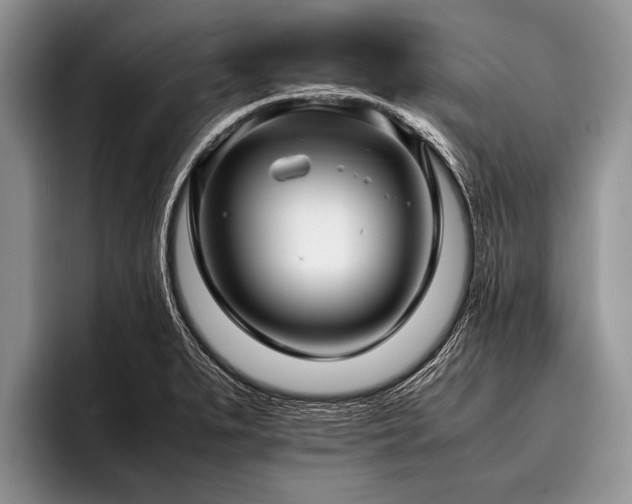 X0000096981279200802081400