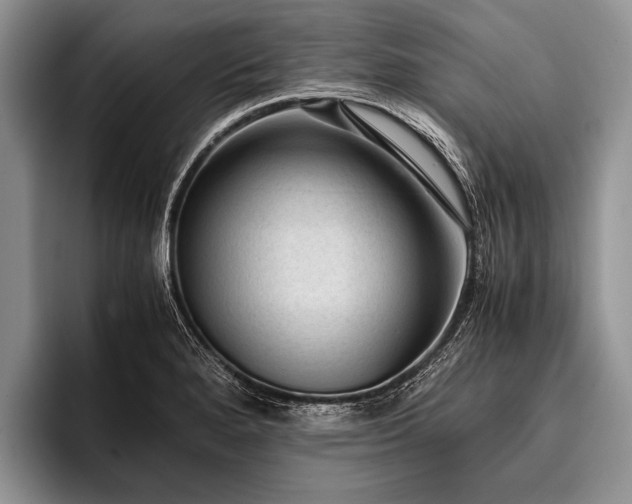 X0000096981280200802081400