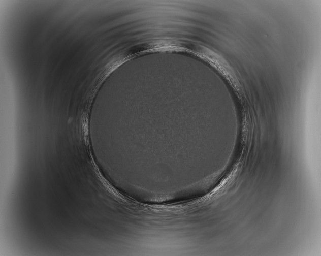 X0000096981281200802081400